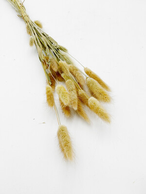 BUNNY TAIL NATURAL ( FULL BUNDLE)