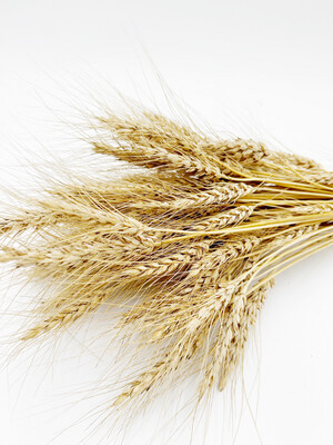 BEARDED WHEAT NATURAL (FULL BUNDLE)