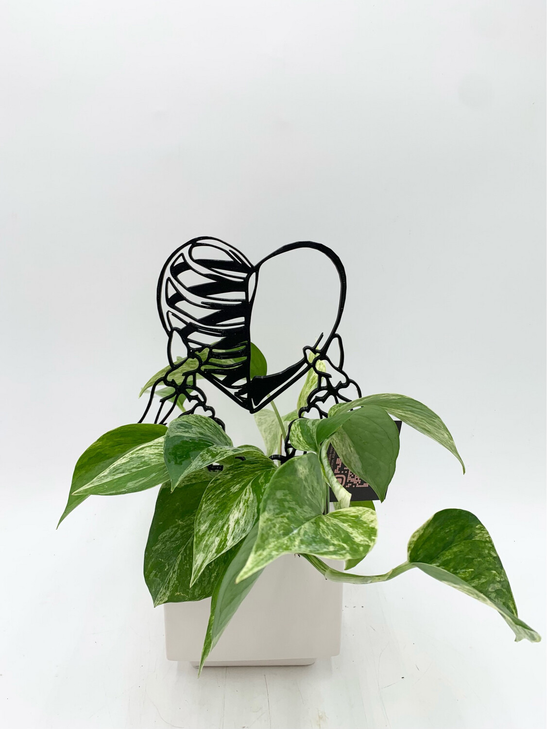 SKELETON HEART TRELLIS 9" BLACK