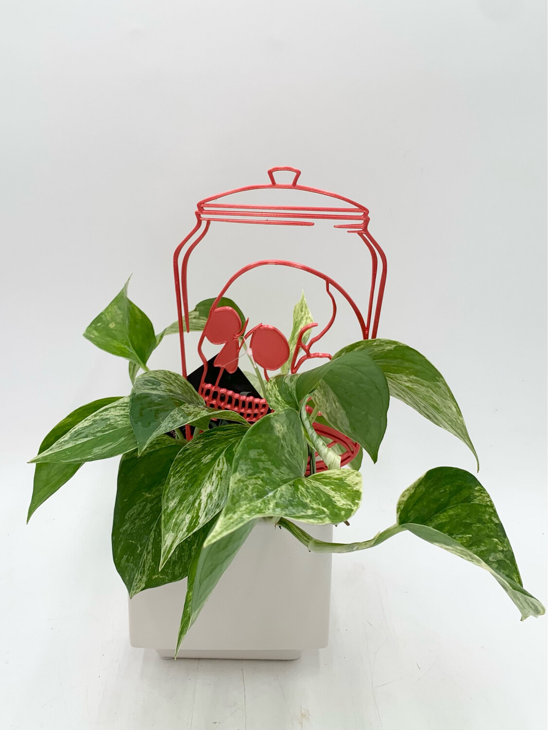 SKULL IN A JAR TRELLIS 9" SHIMMERY WINE RED