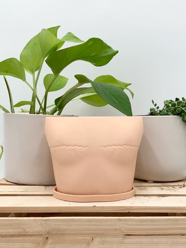 GARNET DOUBLE MASTECTOMY PLANTER WITH TRAY BEIGE 4" H