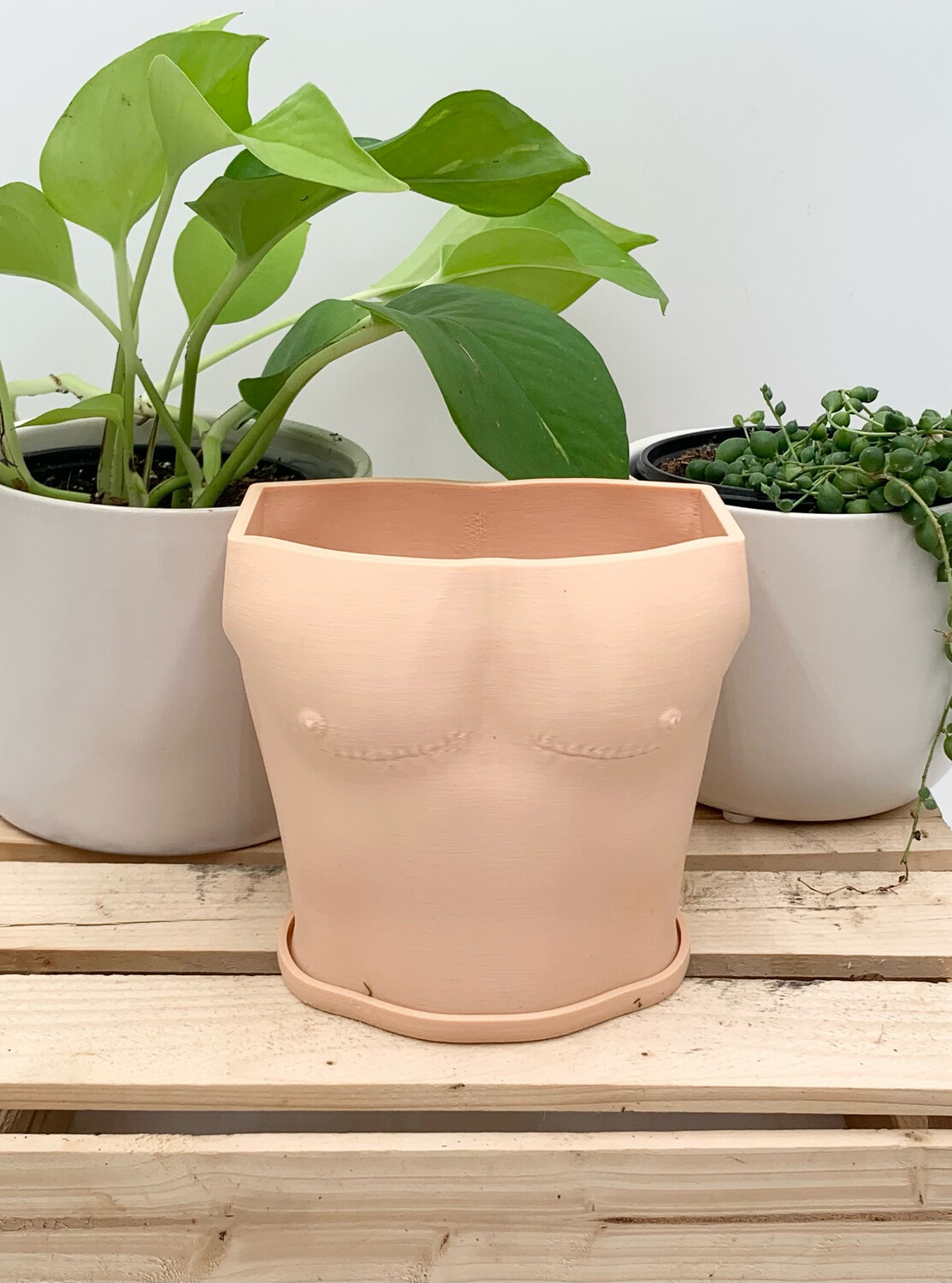 BARKLEY TOP SURGERY PLANTER WITH TRAY BEIGE 4.5" H