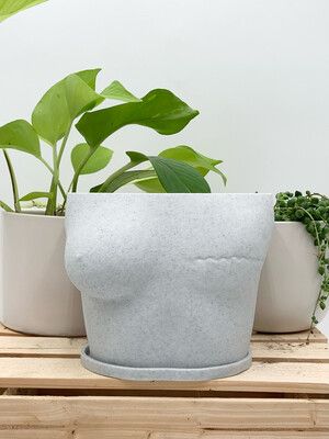JADE MASTECTOMY PLANTER WITH TRAY GREY 5.5" H