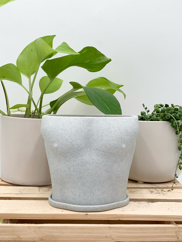BARKLEY TOP SURGERY PLANTER WITH TRAY GREY 4.5" H