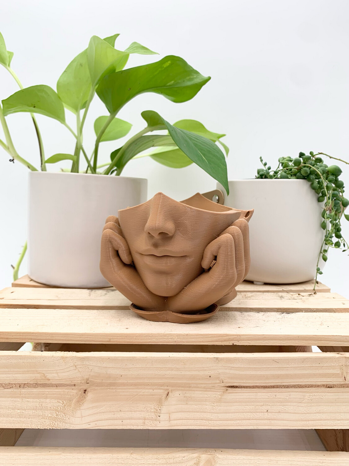 VENUS FACE PLANTER WITH TRAY LIGHT BROWN 3.5