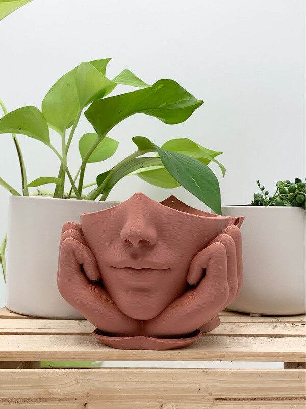 VENUS FACE PLANTER WITH TRAY PINK 4.5" H