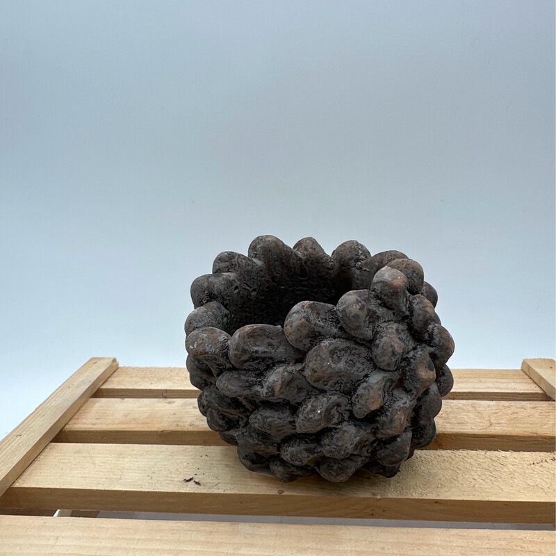PINECONE PLANTER 3"