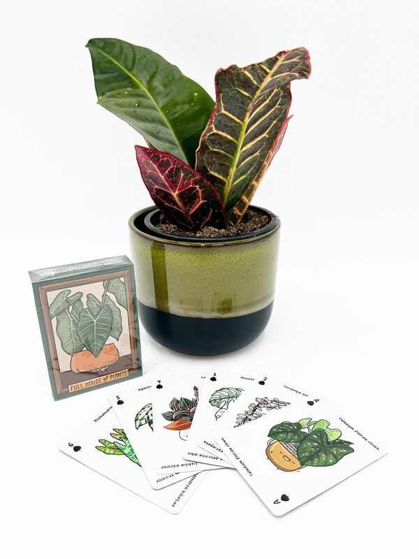 FULL HOUSE OF PLANTS PLAYING CARDS