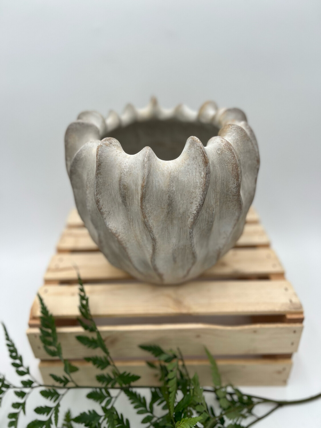 DUNE LOW WAVY POD PLANTER 5"