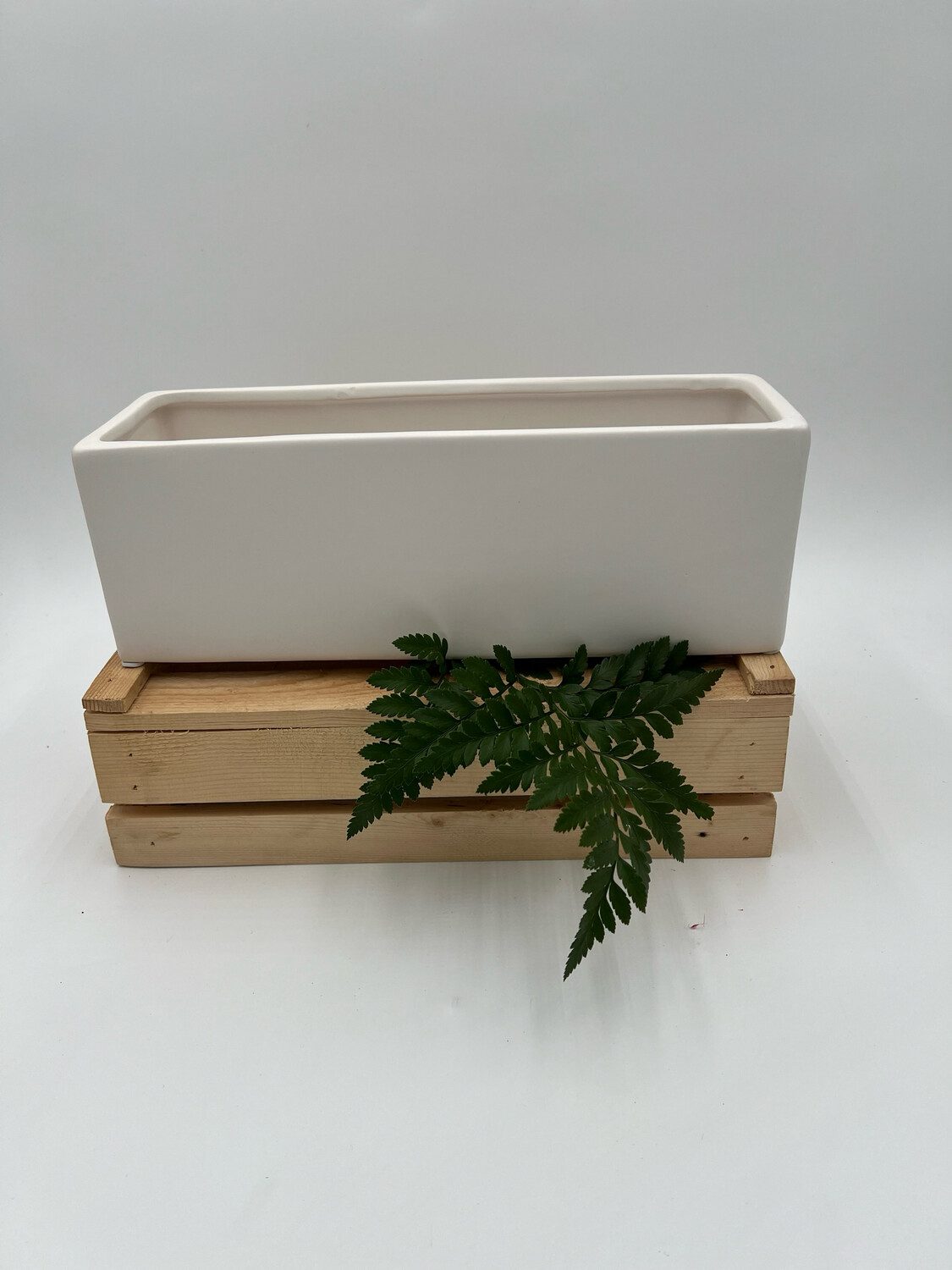 MATTE WHITE CERAMIC RECTANGLE POT 12" L