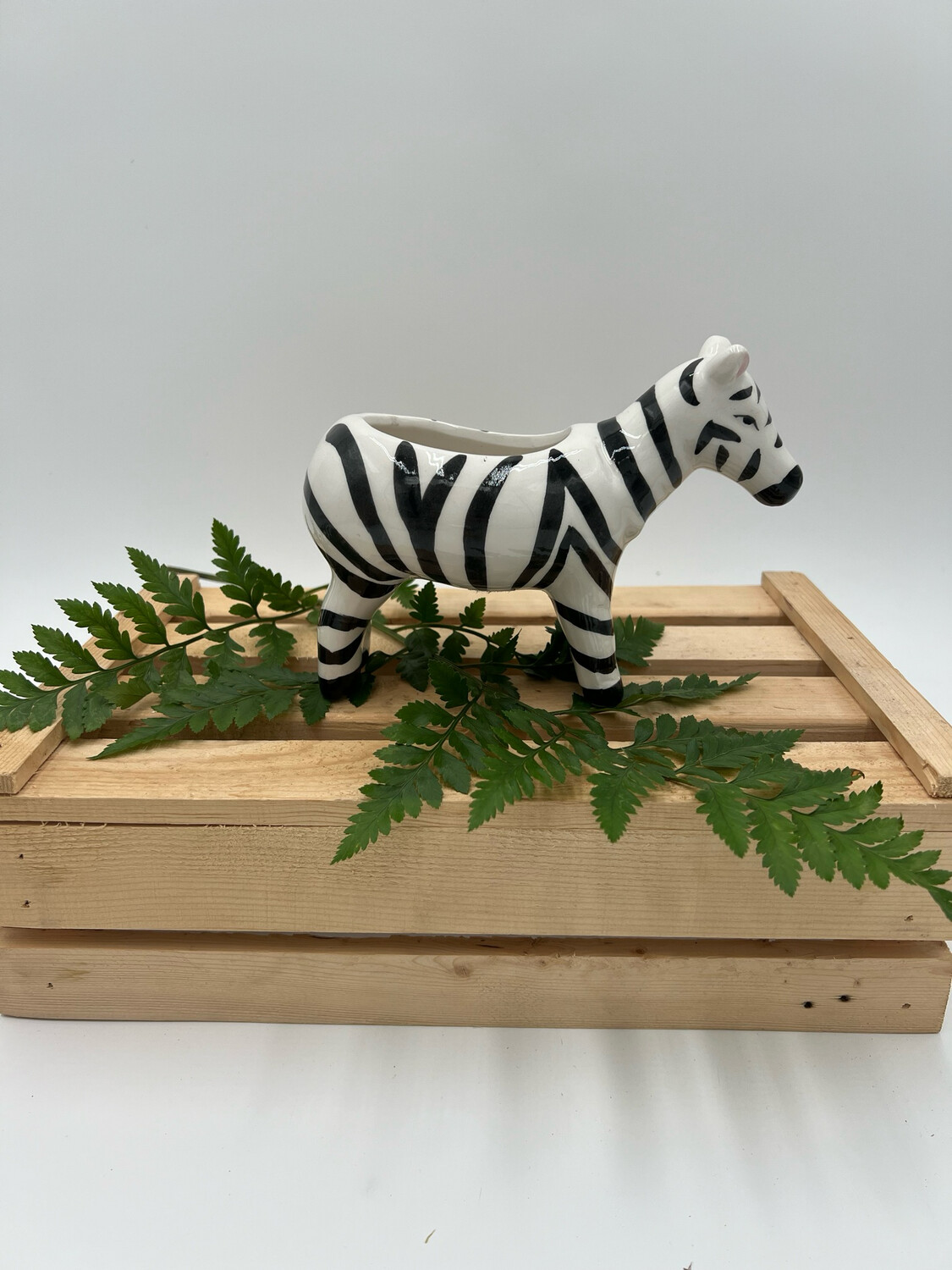 SMALL ZEBRA PLANTER