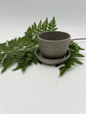KANSO WHEAT HUSK MINI PLANTER