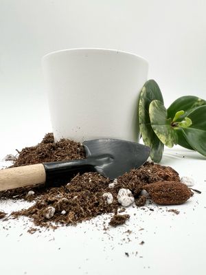 POTTING MEDIUM