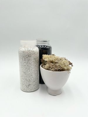 TERRARIUM DECOR