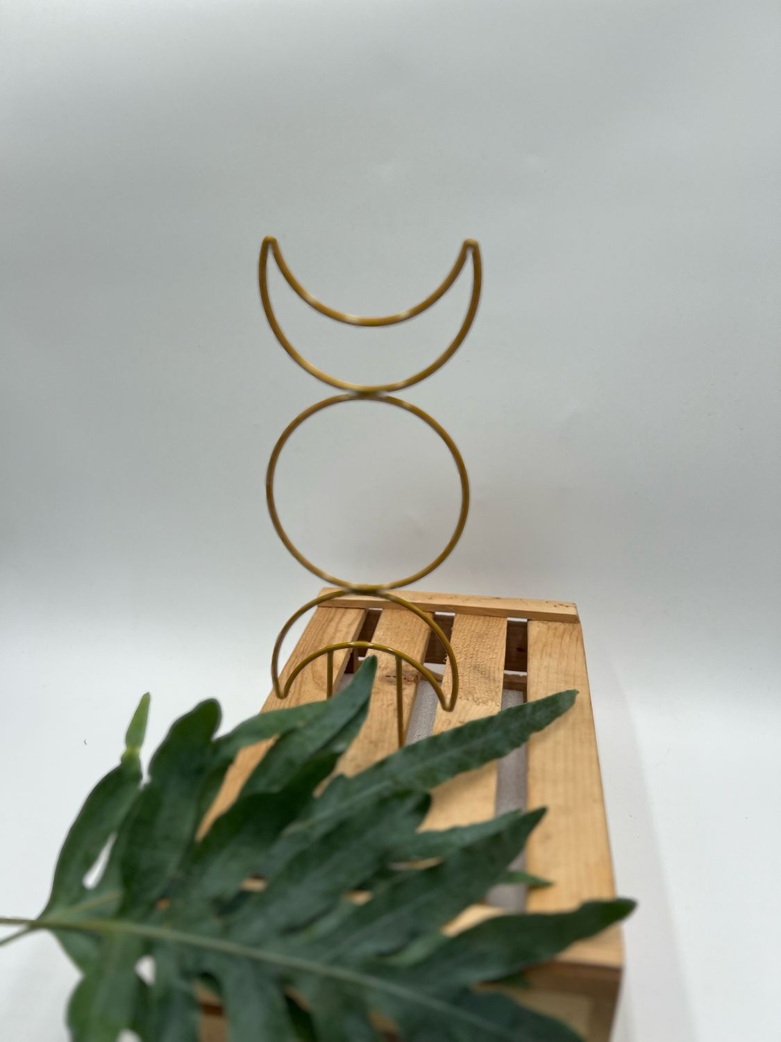 TRELLIS GOLD MOON PHASE 13"