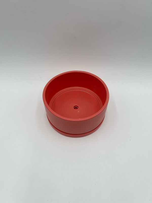 CORALSELF DRAINING POT 6"