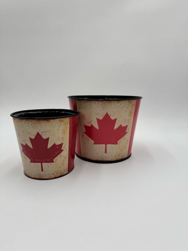 CANADA DAY TIN SMALL