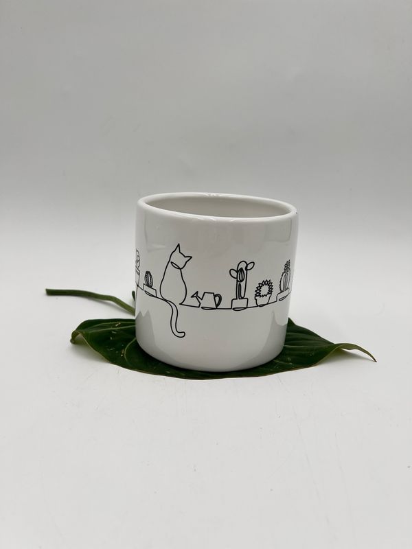 PLANTS AND CAT POT 4"