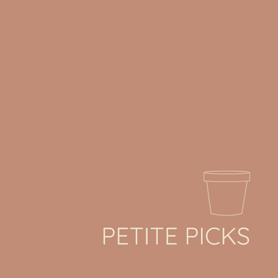 PETITE PICKS