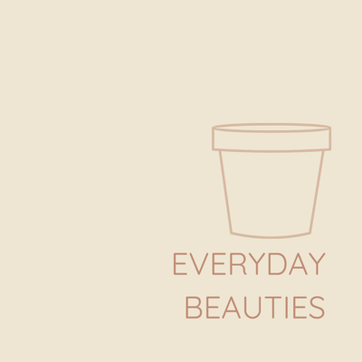EVERYDAY BEAUTIES