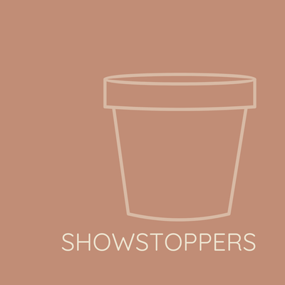 SHOWSTOPPERS