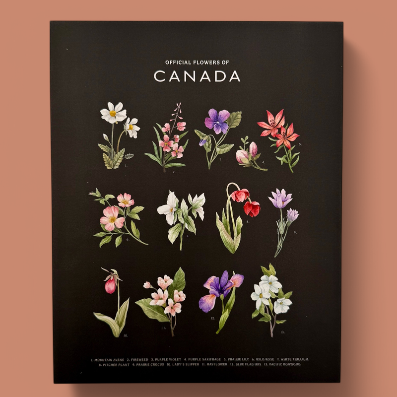 NATASHA VANDERBURG – OFFICIAL FLOWERS OF CANADA – ART PRINT
