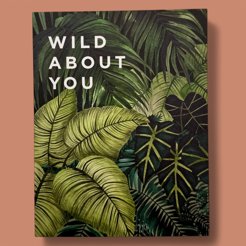  PAPER ANCHOR CO. – WILD ABOUT YOU – VALENTINE’S DAY GREETING CARD