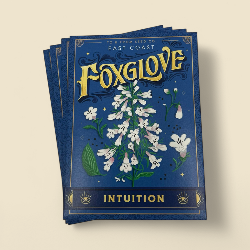 TO & FROM GIFT CO. - EAST COAST FOXGLOVE - INTUITION SEED PACKET
