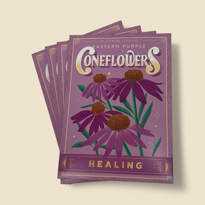 TO & FROM GIFT CO. - EASTERN PURPLE CONEFLOWERS - HEALING SEED PACKET