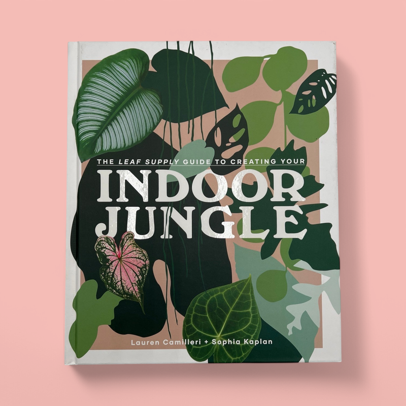 INDOOR JUNGLE