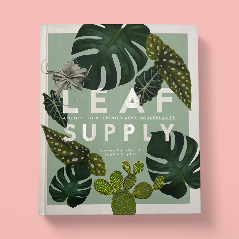 LEAF SUPPLY