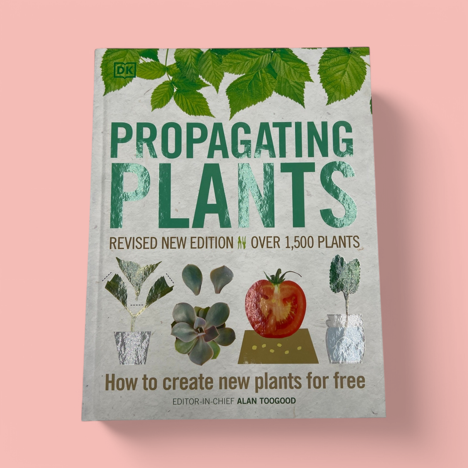 PROPOGATING PLANTS