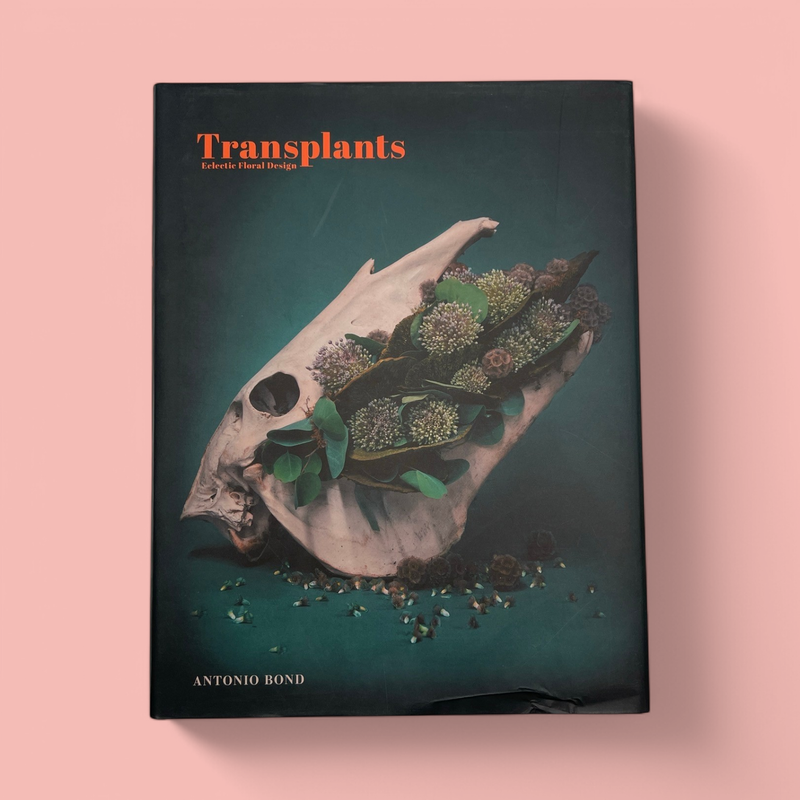 TRANSPLANTS ECLECTIC FLORAL DESIGN