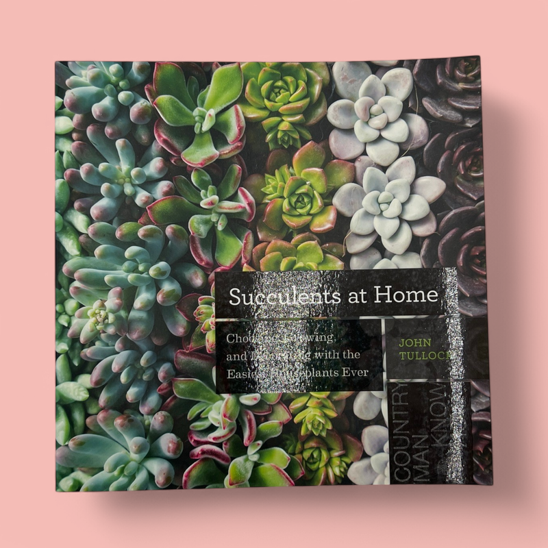 SUCCULENTS AT HOME