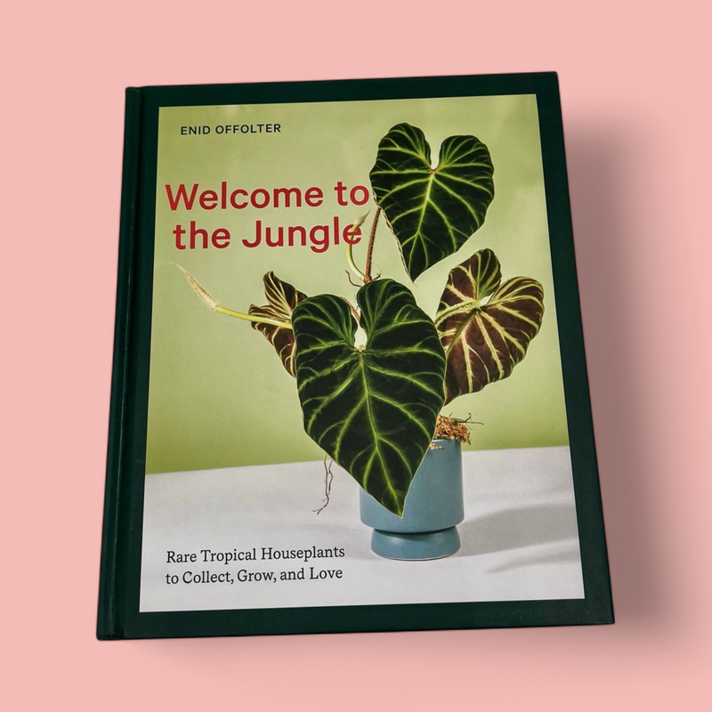 WELCOME TO THE JUNGLE