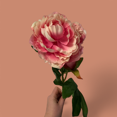FAUX DOUBLE BLOOM PEONY STEM - PINK