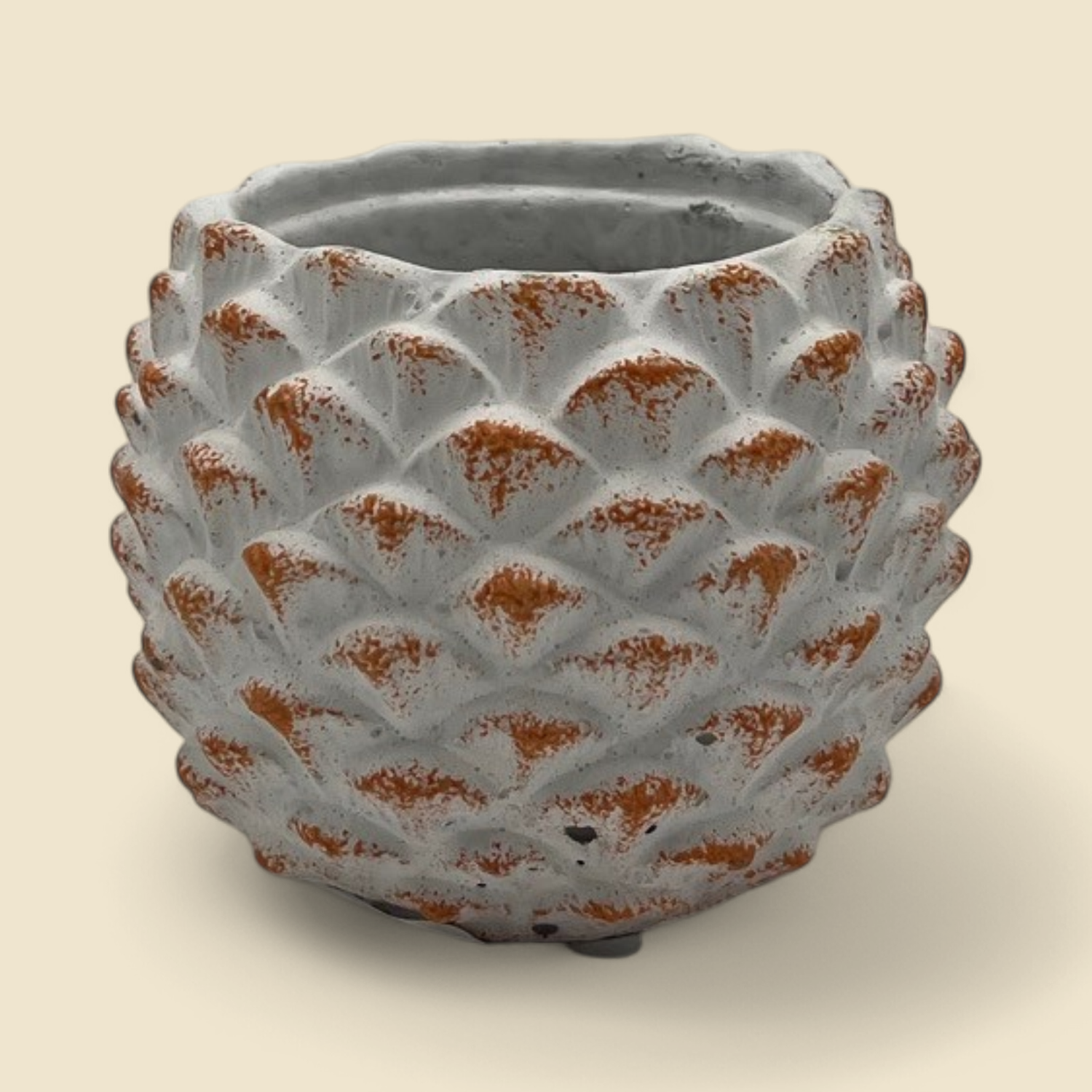 PINECONE WHITE W/ TERRACOTTA ACCENTS 2" POT