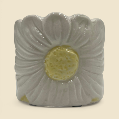 DAISY POT 2 DAISY POT 2"