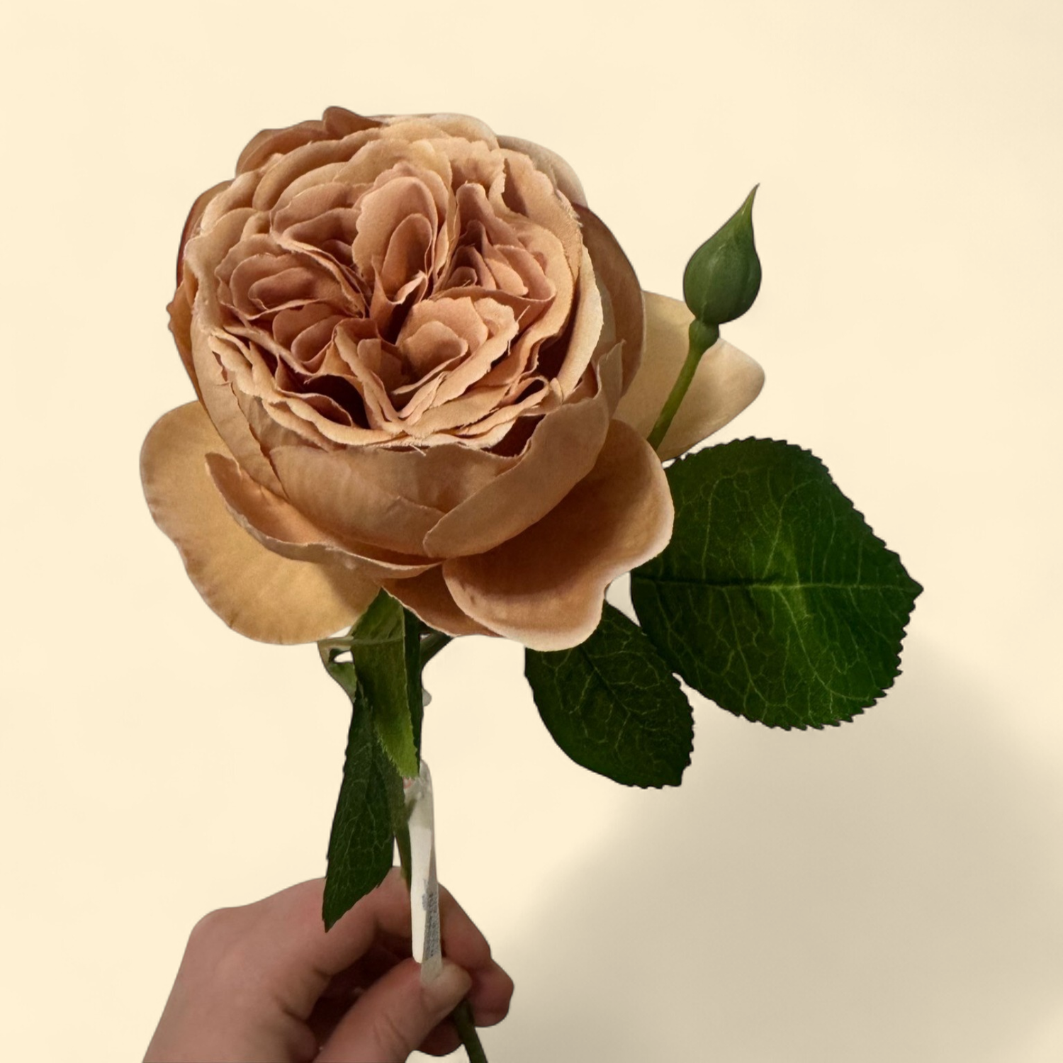 FAUX ENGLISH GARDEN ROSE STEM – TOFFEE