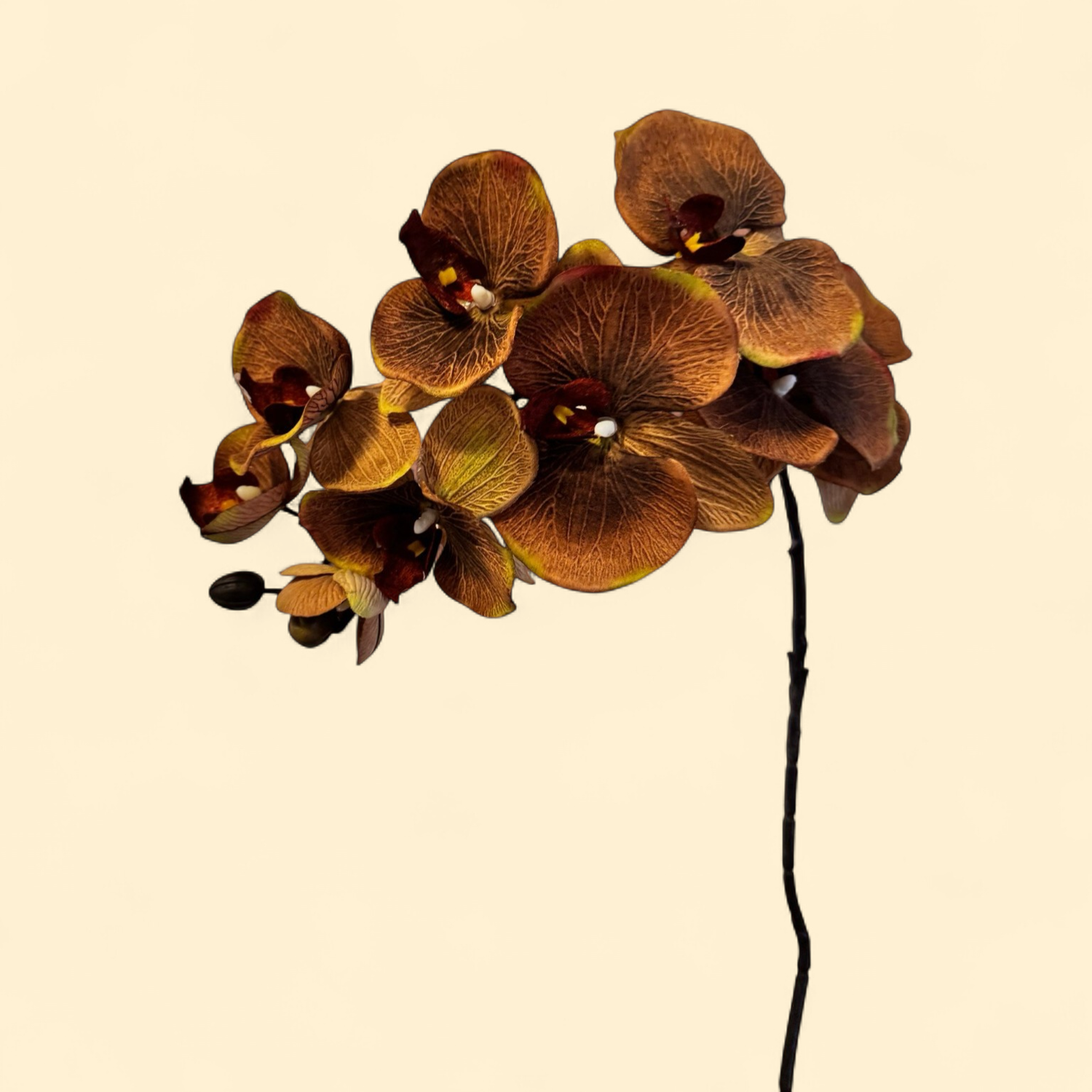 FAUX PHALAENOPSIS ORCHID STEM - COFFEE