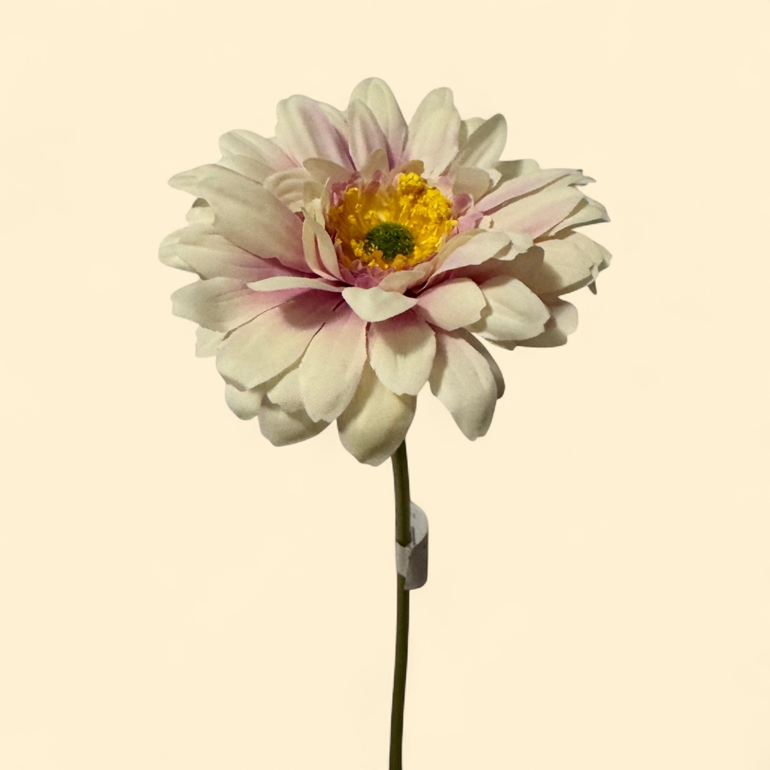FAUX LARGE GERBERA DAISY STEM - CREAM BLUSH