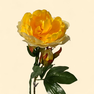 FAUX DOUBLE BLOOM PEONY STEM - GOLDEN YELLOW