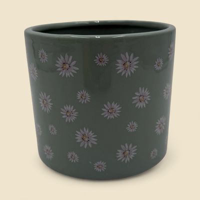 DAISIES PLANTER 4.25"