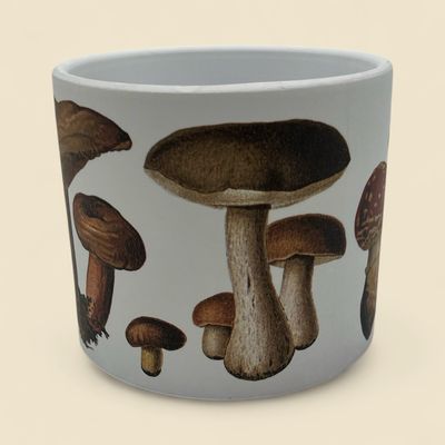 BOTANICAL MUSHROOM PLANTER 4 BOTANICAL MUSHROOM PLANTER 4"