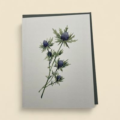 NATASHA VANDERBURG - ERYNGIUM - EVERYDAY GREETING CARD