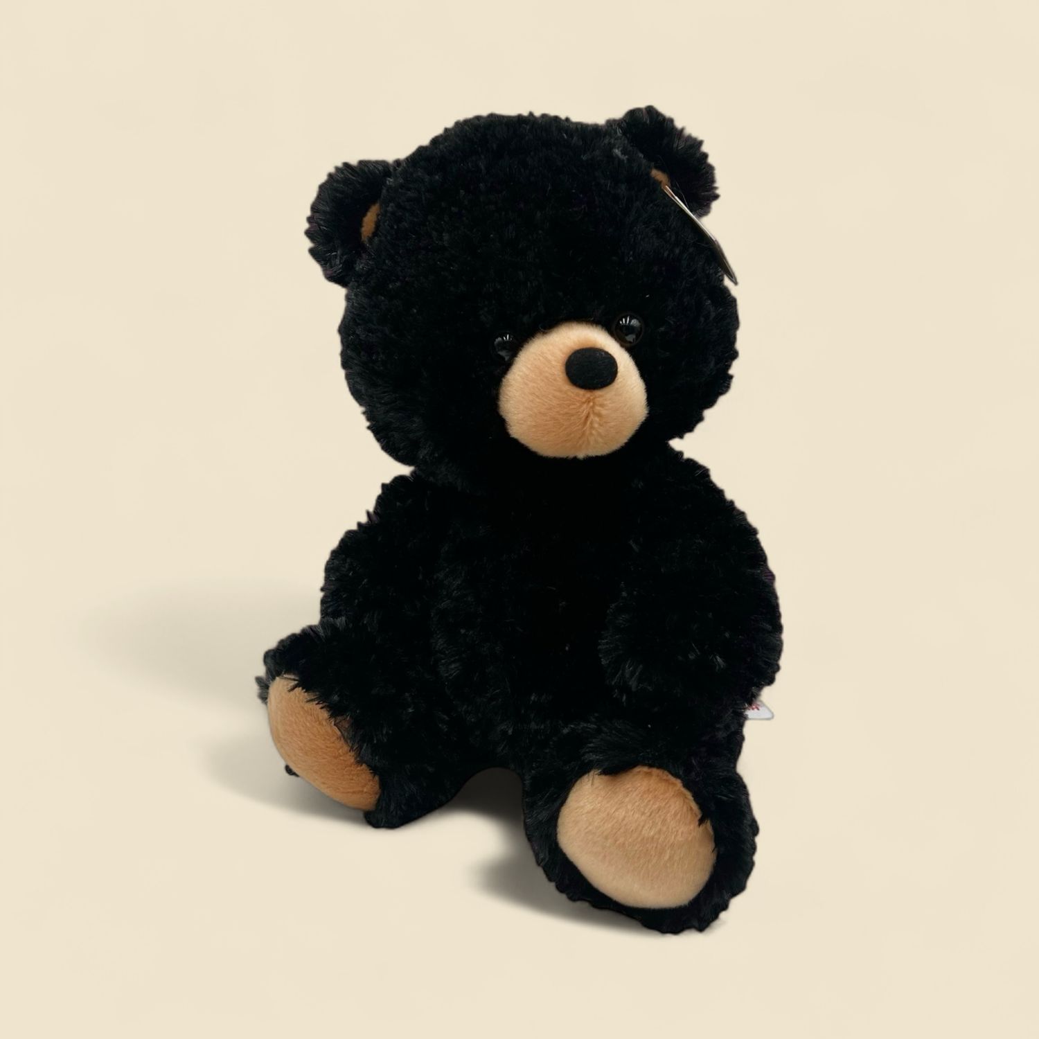 AURORA BLACK BEAR CUB 13 AURORA BLACK BEAR CUB 13"