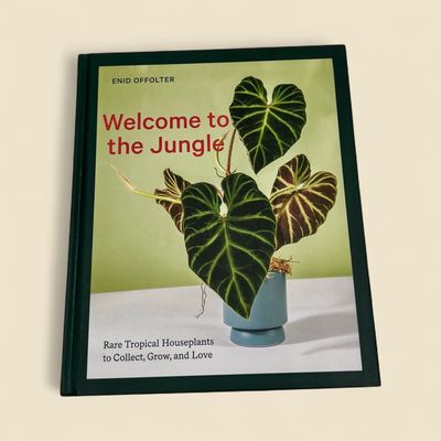 WELCOME TO THE JUNGLE WELCOME TO THE JUNGLE