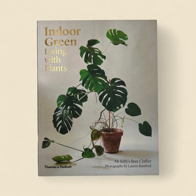 INDOOR GREEN LIVING WITH PLANTS INDOOR GREEN LIVING WITH PLANTS