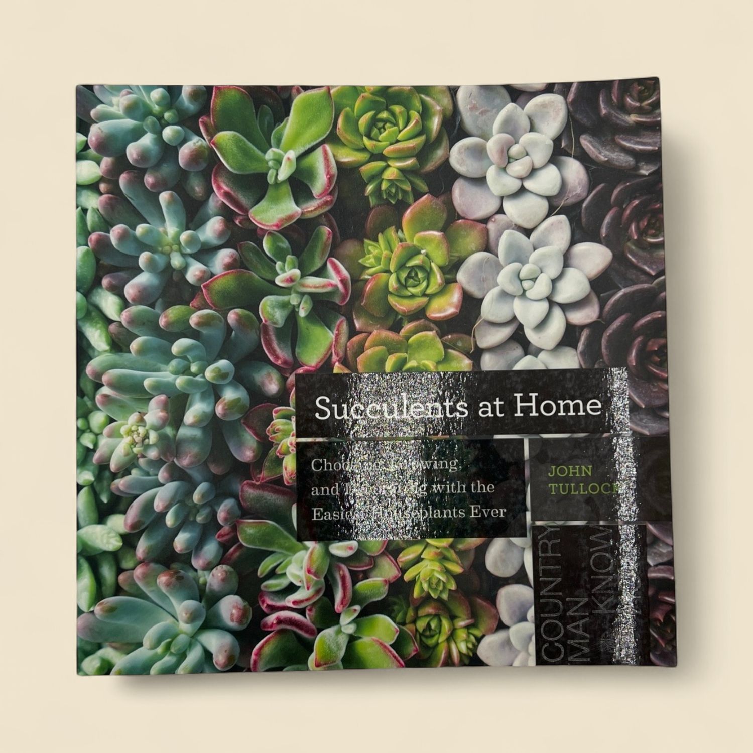 SUCCULENTS AT HOME SUCCULENTS AT HOME