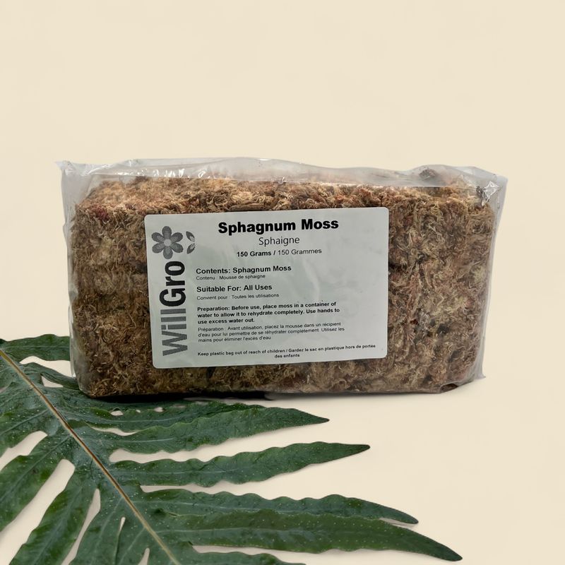 SPHAGNUM MOSS 150g